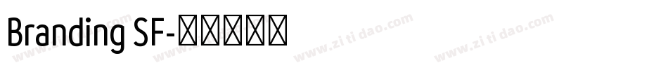 Branding SF字体转换